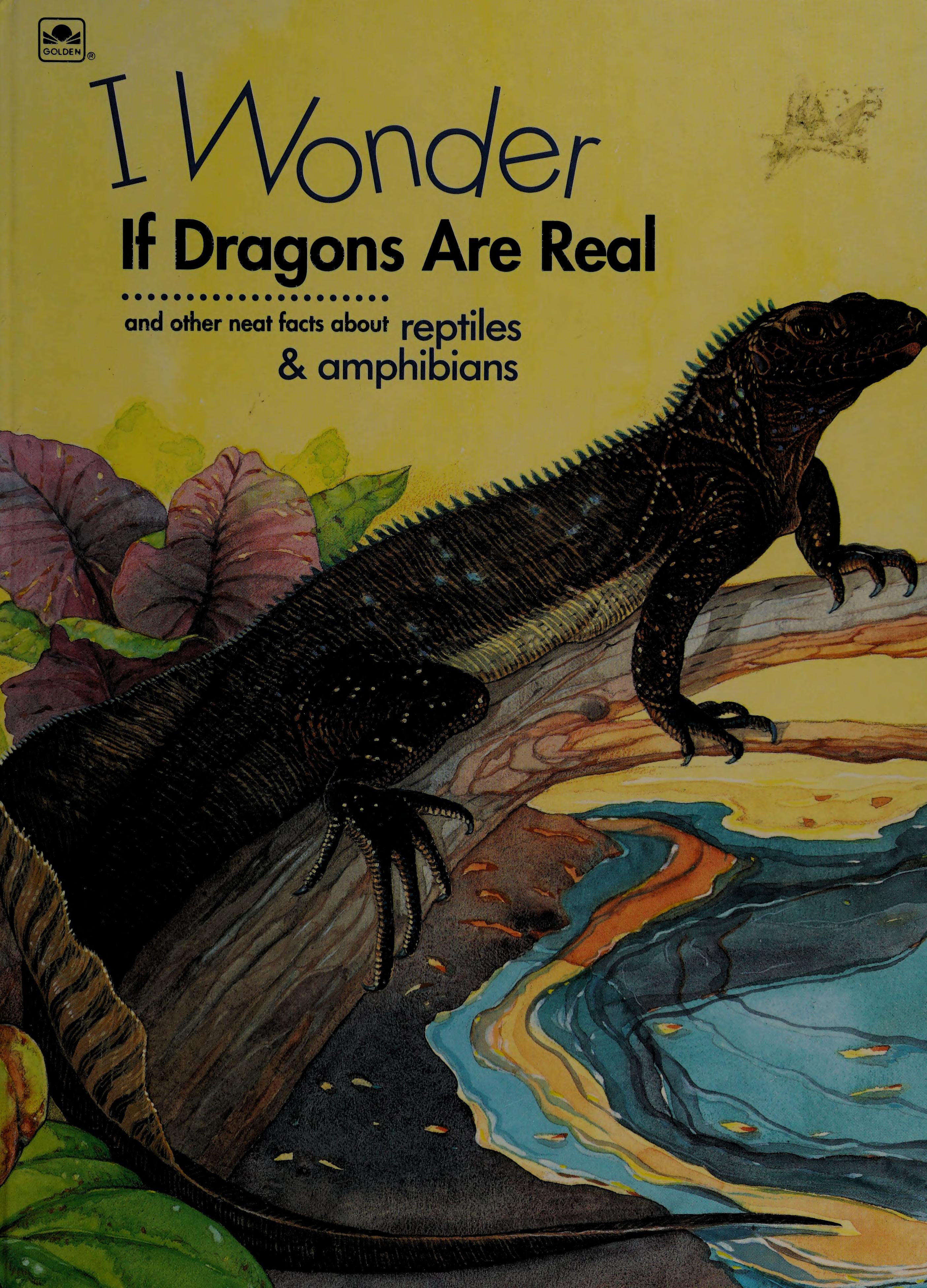 I Wonder If Dragons Are Real?