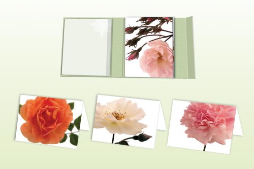 Two Dozen Roses Notecard Book [With 24 Envelopes]