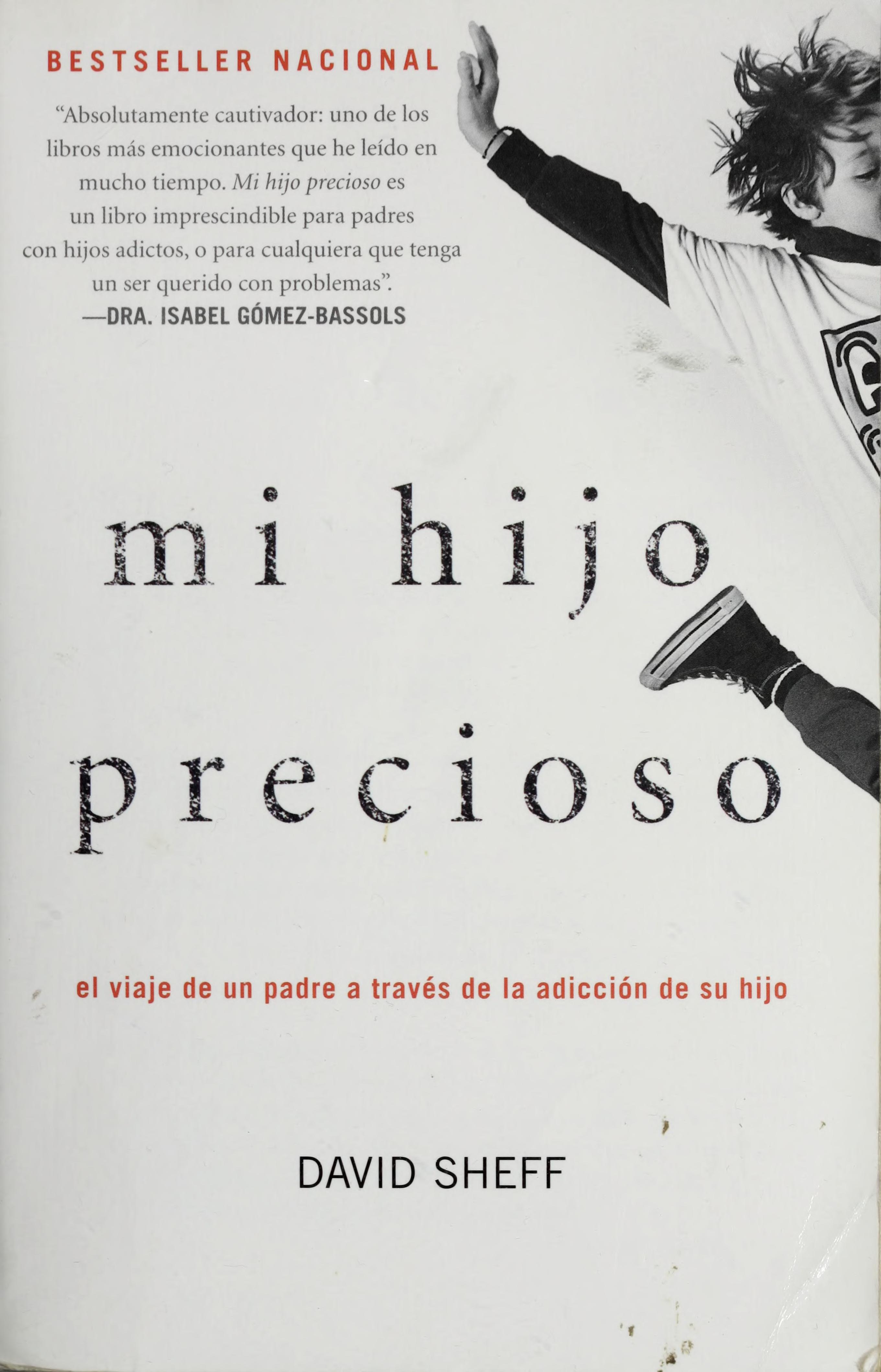 Mi Hijo Precioso: El Viaje de Un Padre a Través de la Adicción de Su Hijo / Beau Tiful Boy