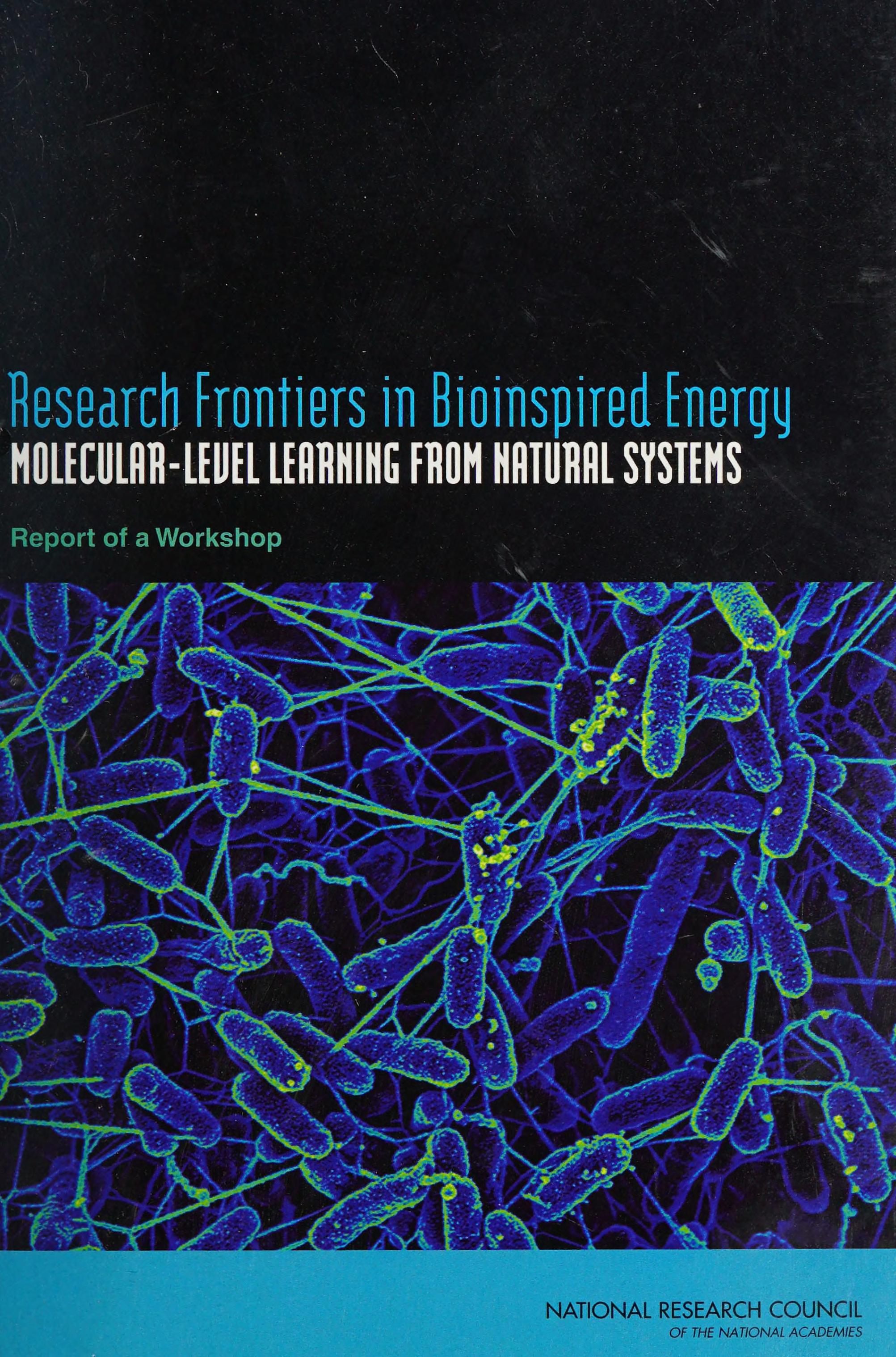 Research Frontiers In Bioinspired Energy
