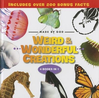 Weird and Wonderful Creations