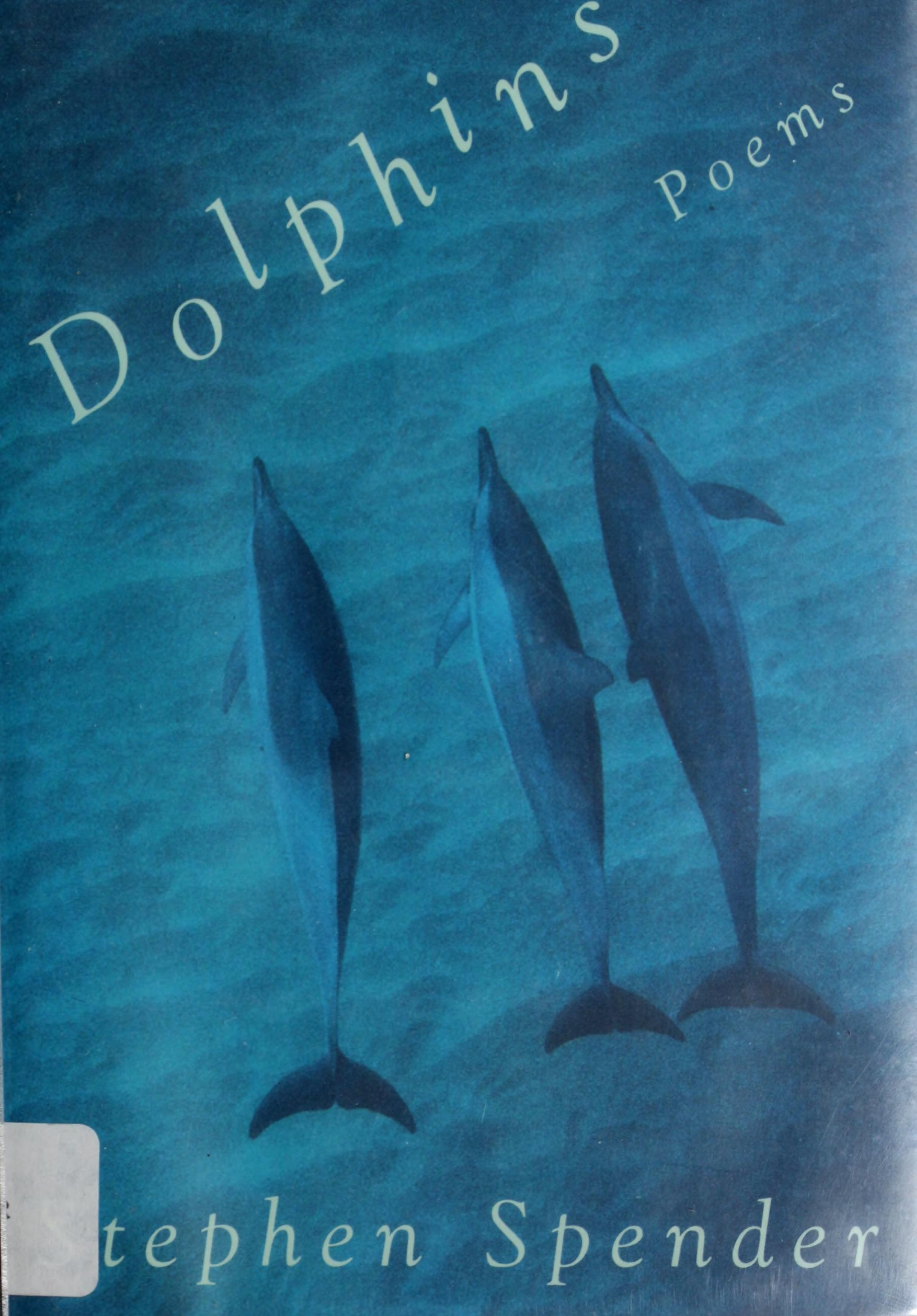Dolphins