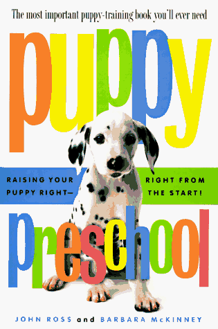 Puppy preschool