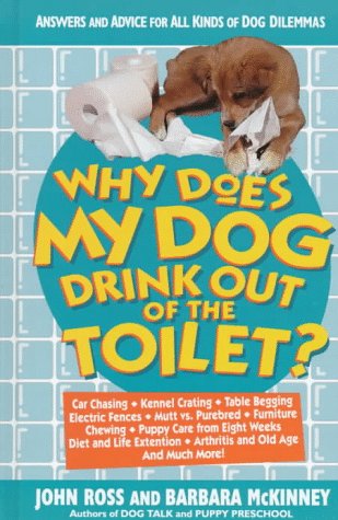 Why does my dog drink out of the toilet?
