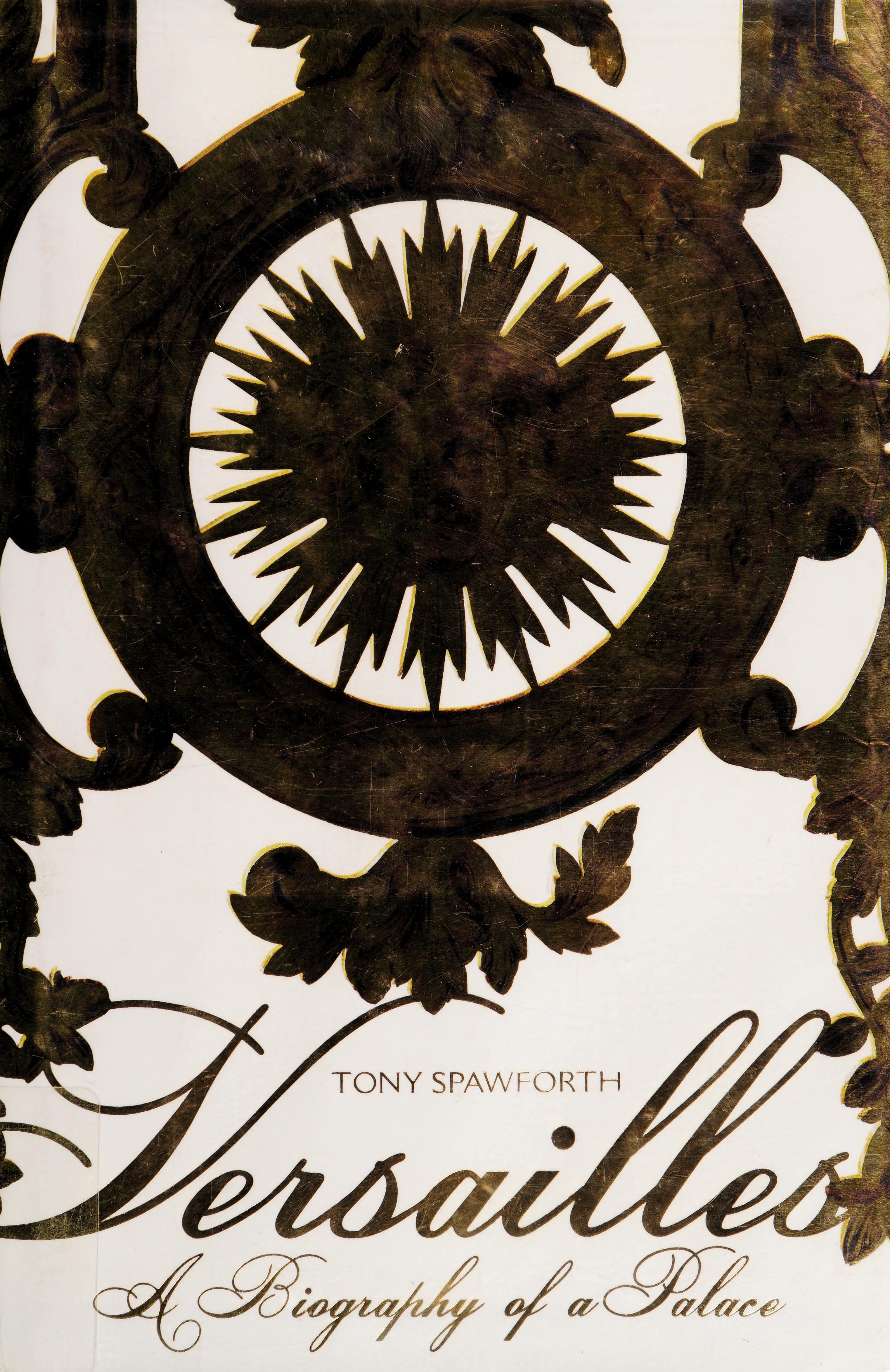 Versailles: A Biography of a Palace