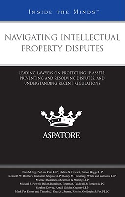 Navigating Intellectual Property Disputes