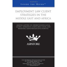 Employment Law Client Strategies in the Middle East and Africa