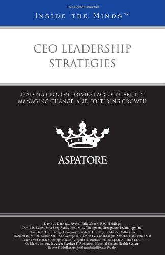 CEO Leadership Strategies