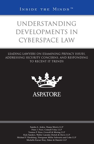 Understanding Developments in Cyberspace Law
