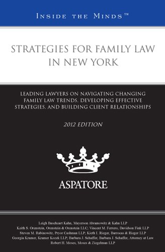 Strategies For Family Law In New York