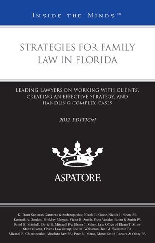 Strategies For Family Law In Florida