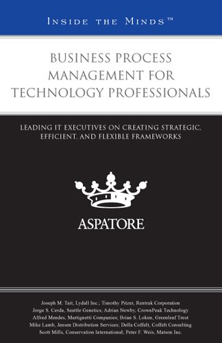 Business Process Management For Technology Professionals: Leading IT Executives On Creating Strategic, Efficient, And Flexible Frameworks
