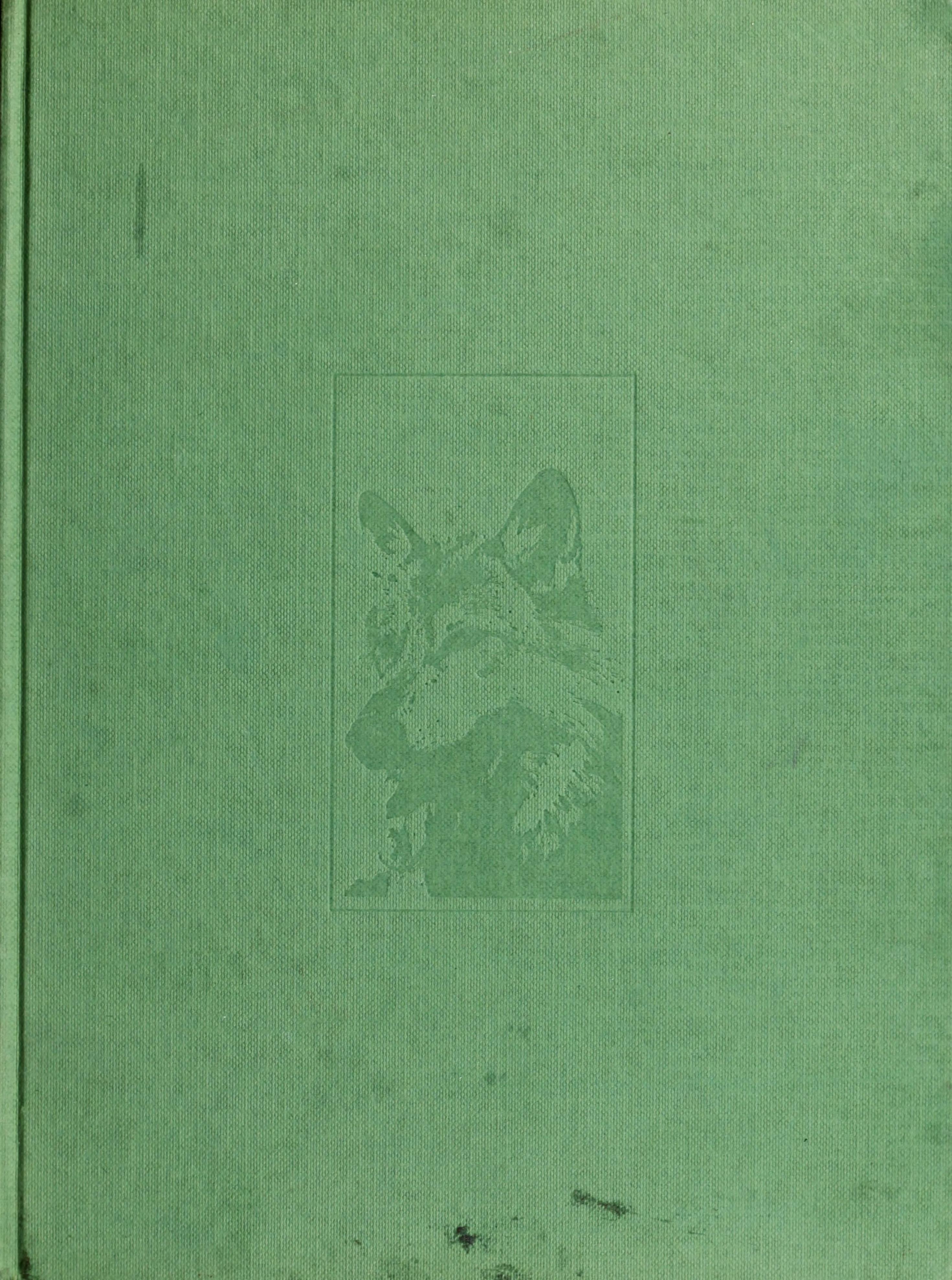 The soul of the wolf