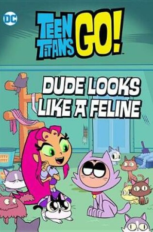 Teen Titans Go!