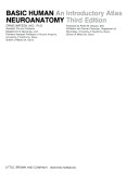 Basic Human Neuroanatomy