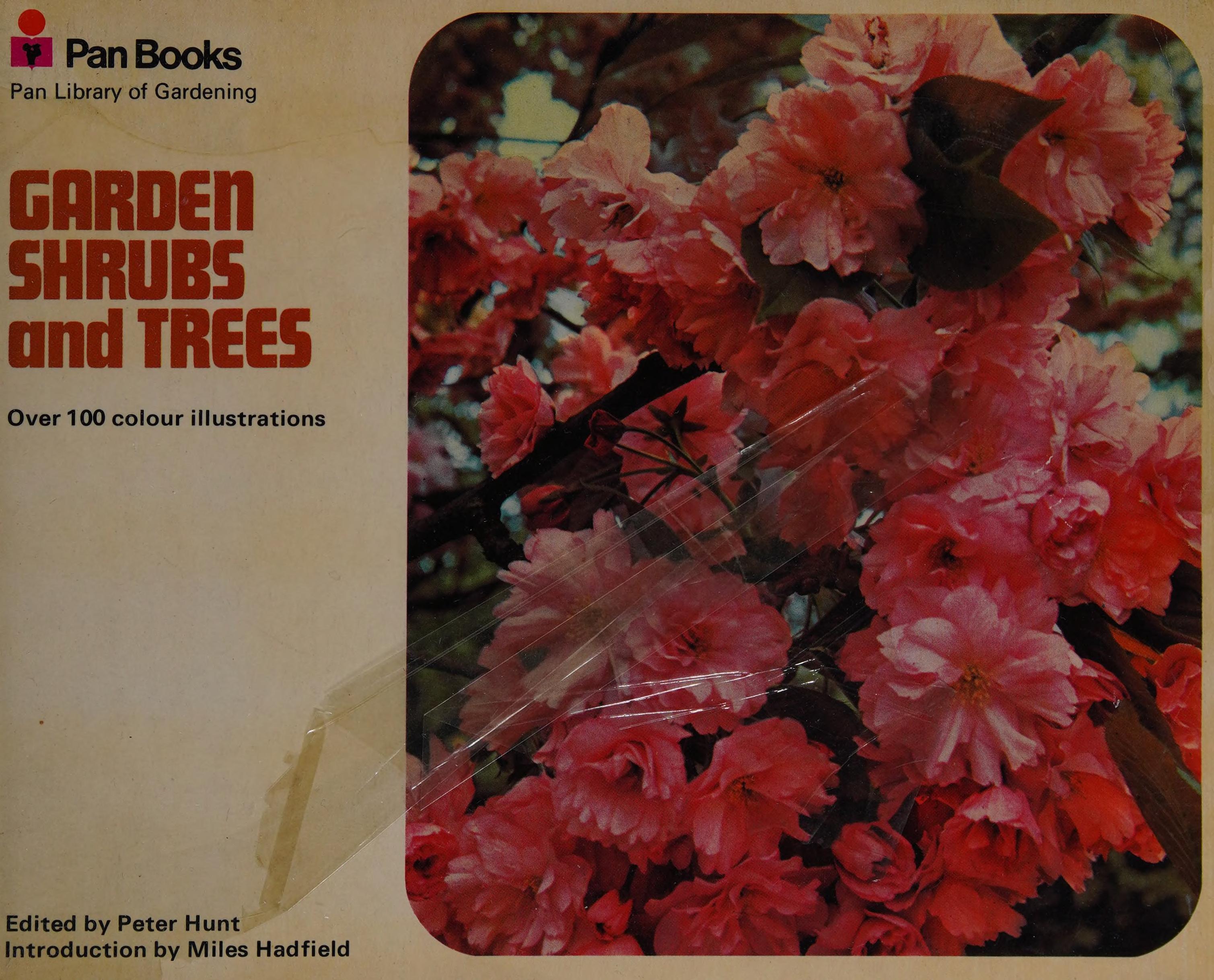 Garden Shrubs and Trees