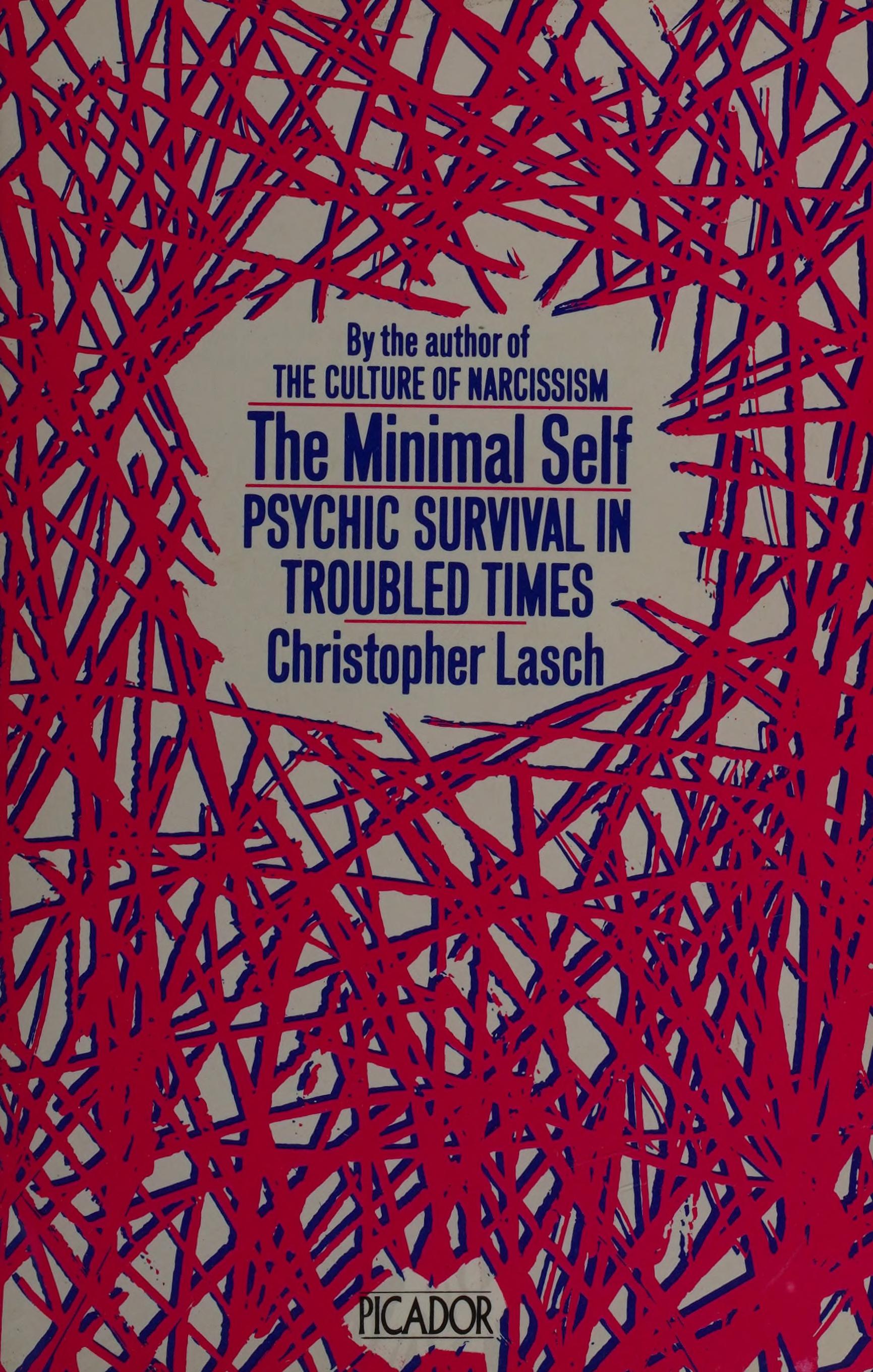 The Minimal Self