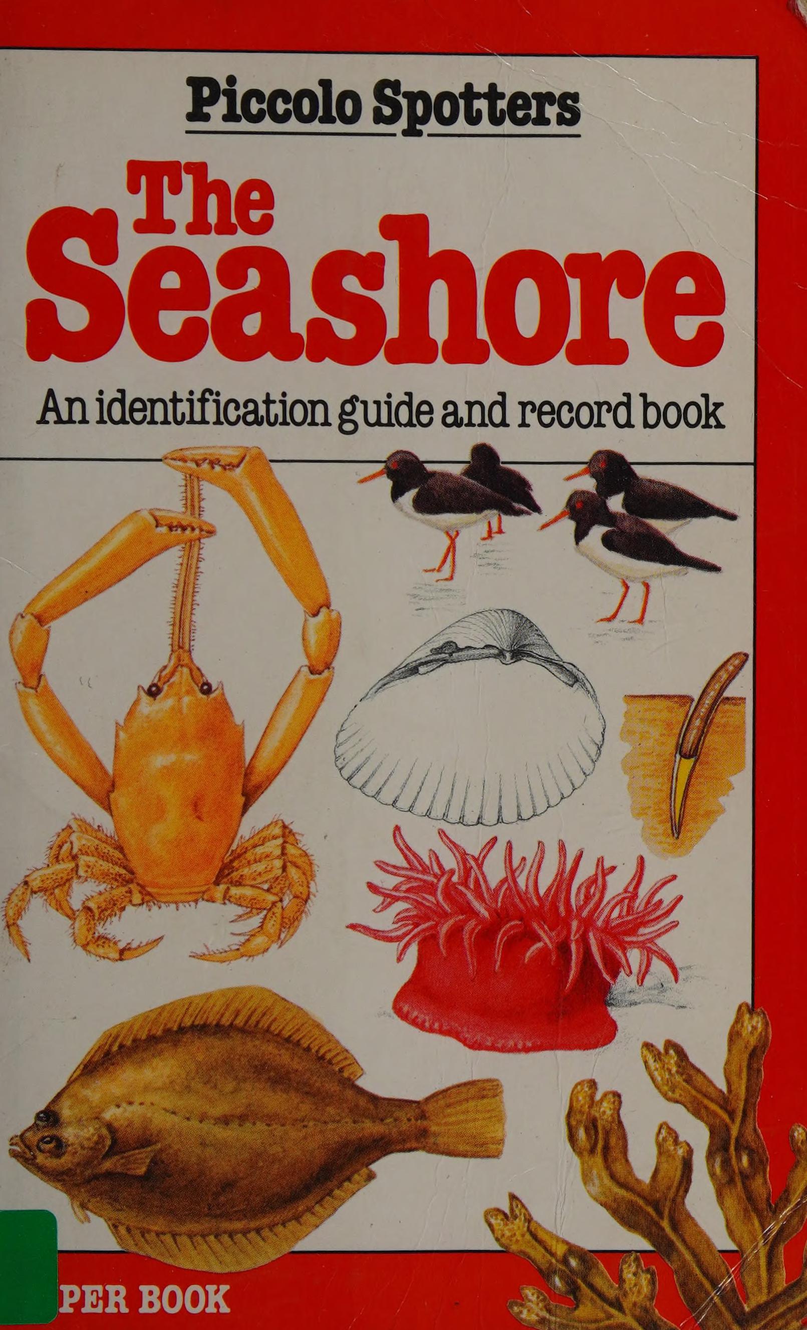 Seashore