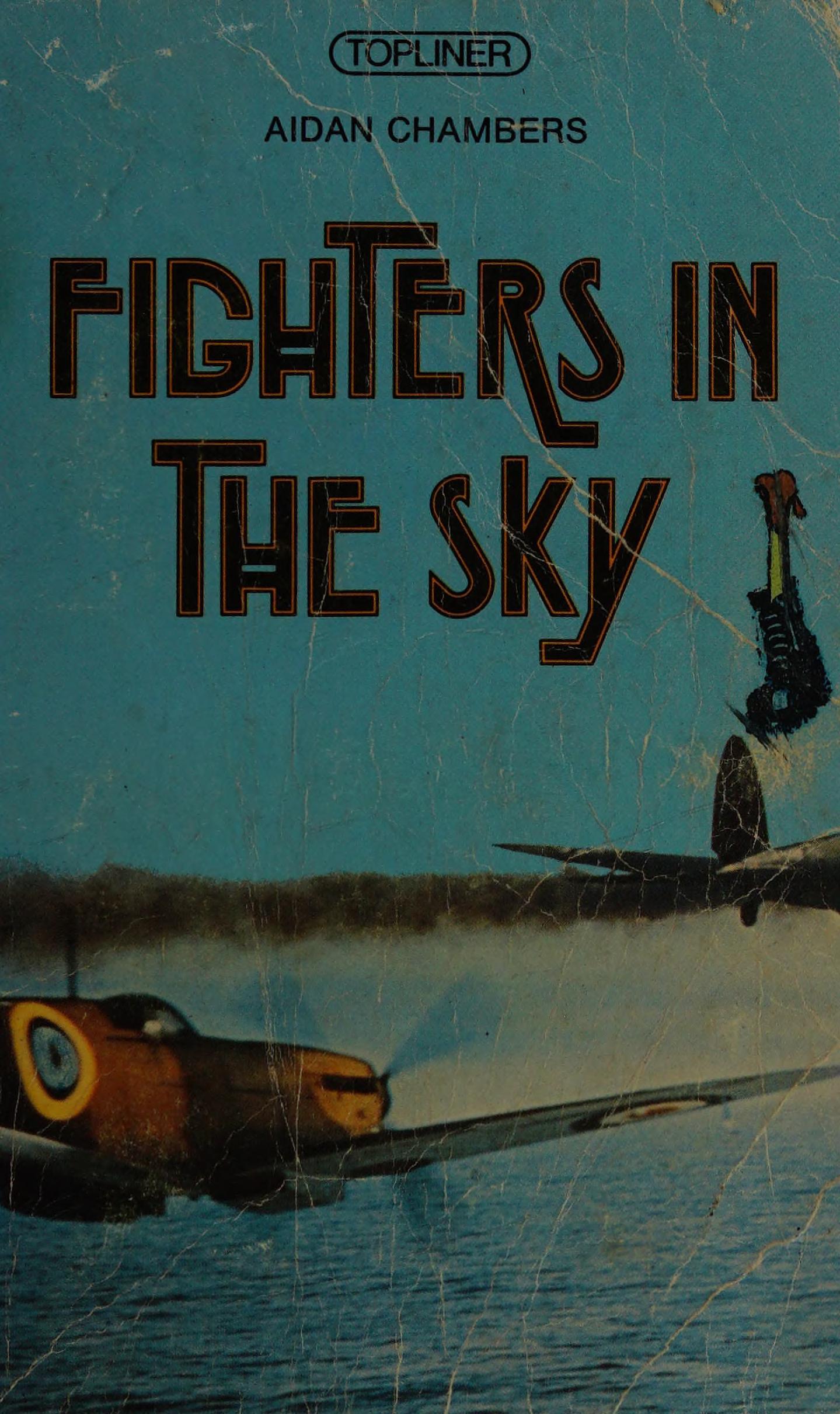 Fighters in the Sky