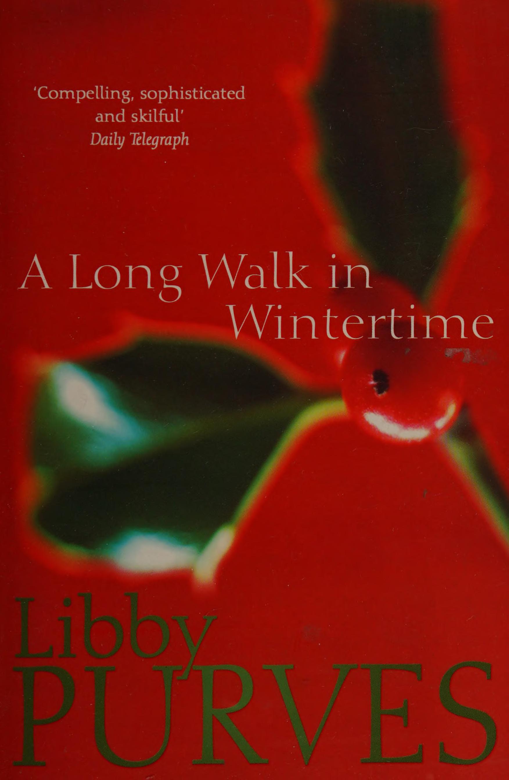 A Long Walk In Wintertime