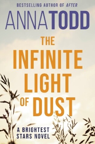 The Infinite Light of Dust
