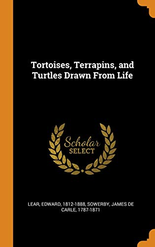 Tortoises, Terrapins, and Turtles Drawn from Life