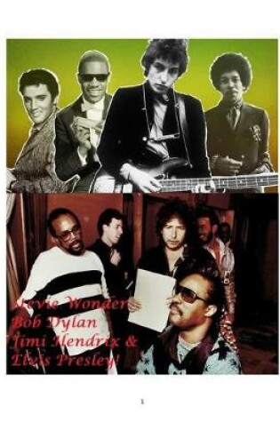 Stevie Wonder, Bob Dylan, Jimi Hendrix and Elvis Presley!