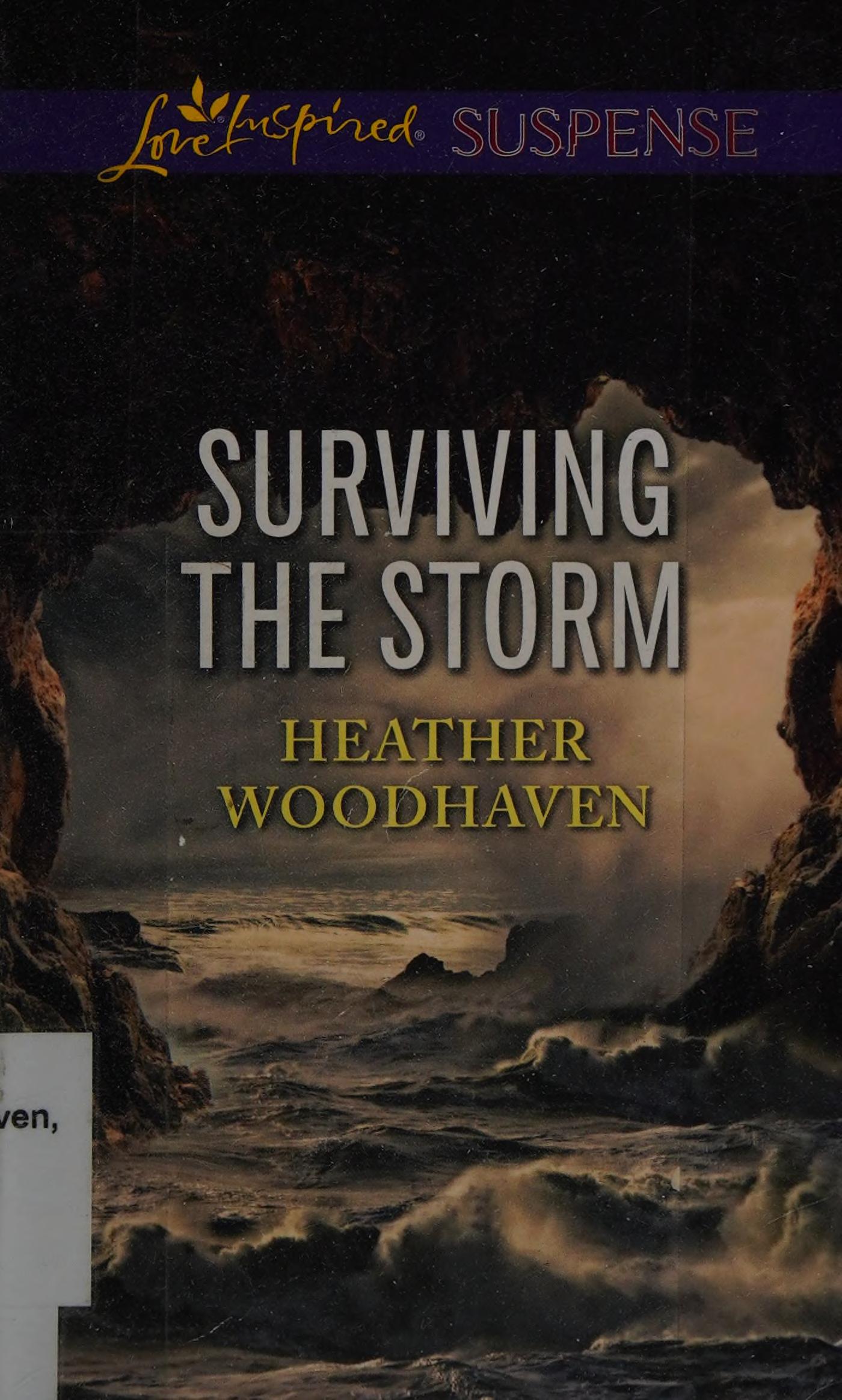 Surviving the Storm