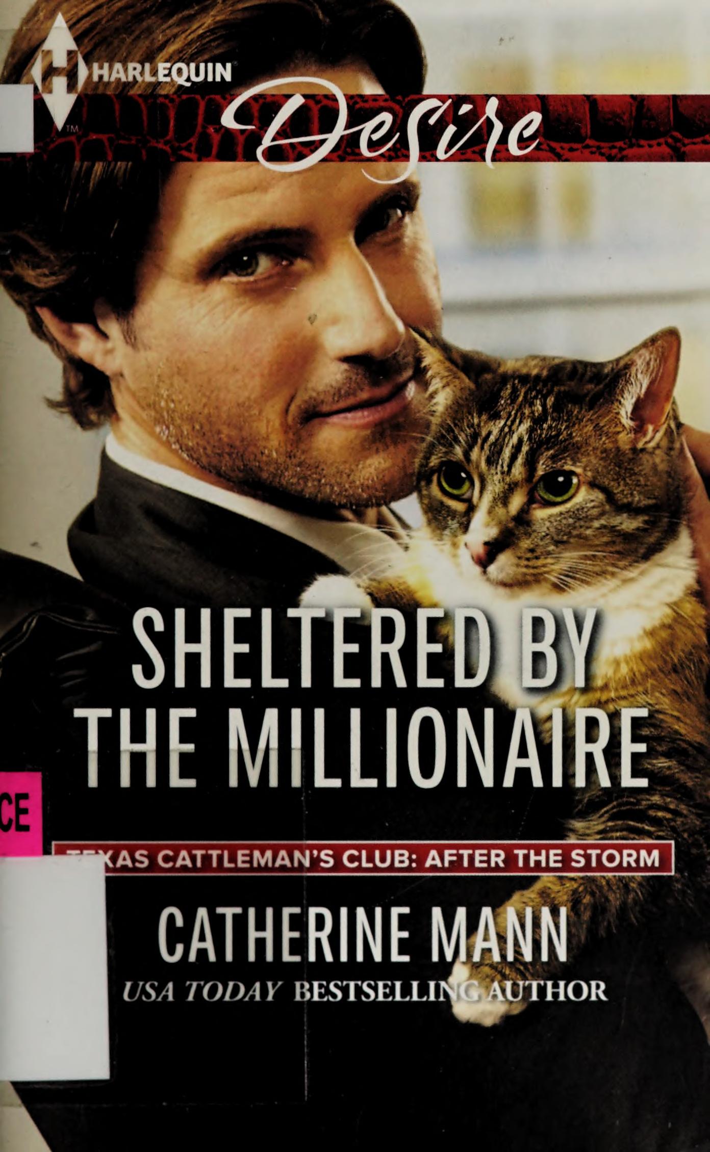 Sheltered by the Millionaire