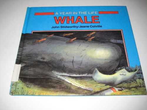 Whale