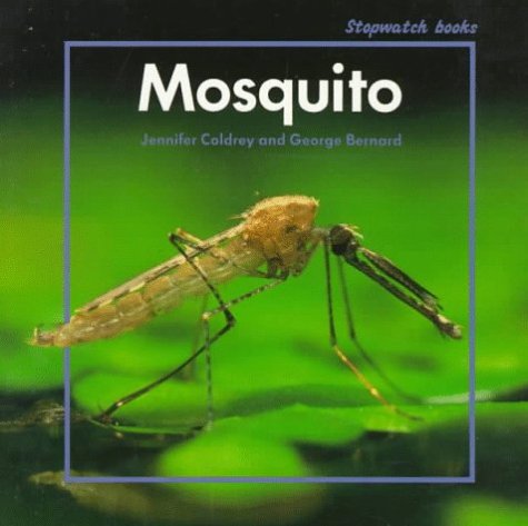 Mosquito