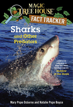 Sharks And Other Predators