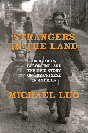 Strangers In The Land by Michael Luo, ISBN 9780385548588