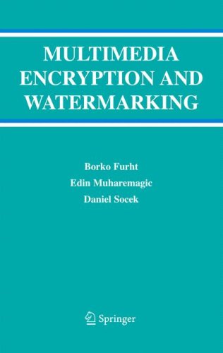 Multimedia encryption and watermarking