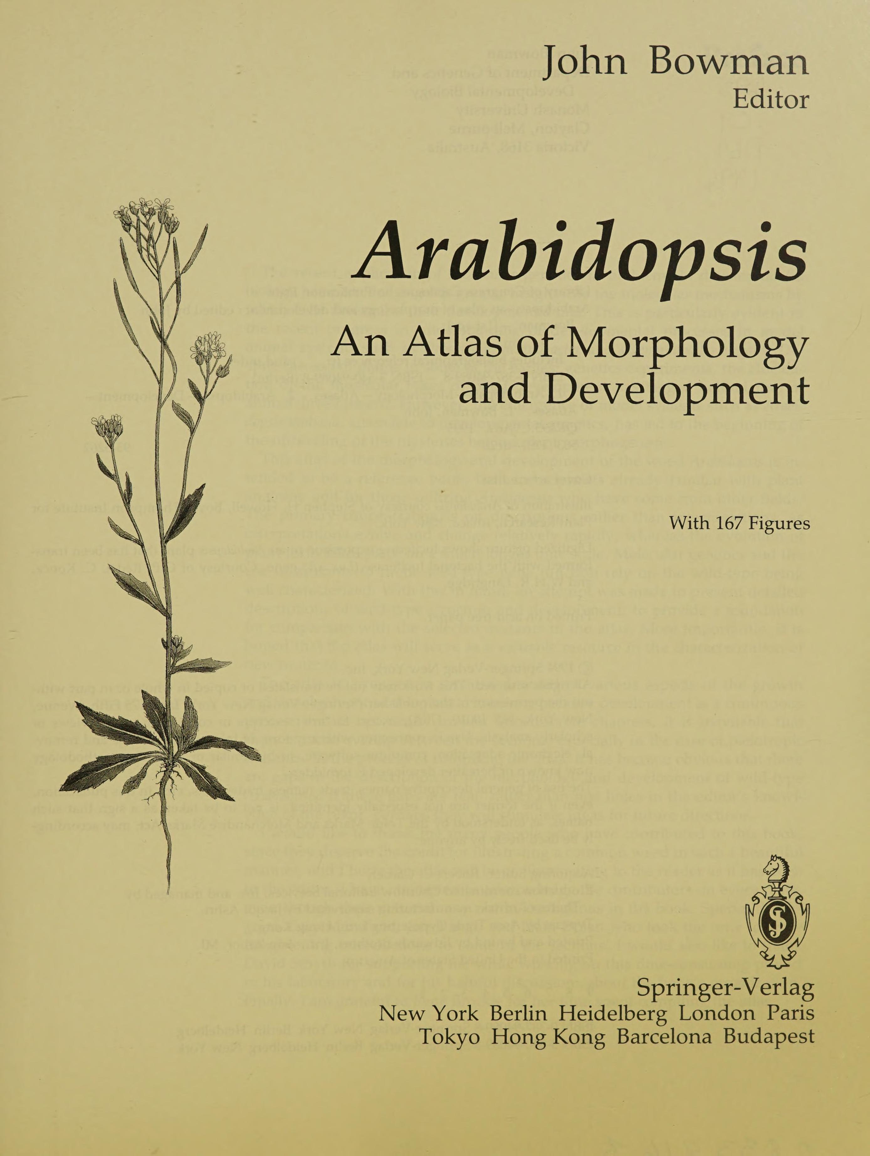 Arabidopsis