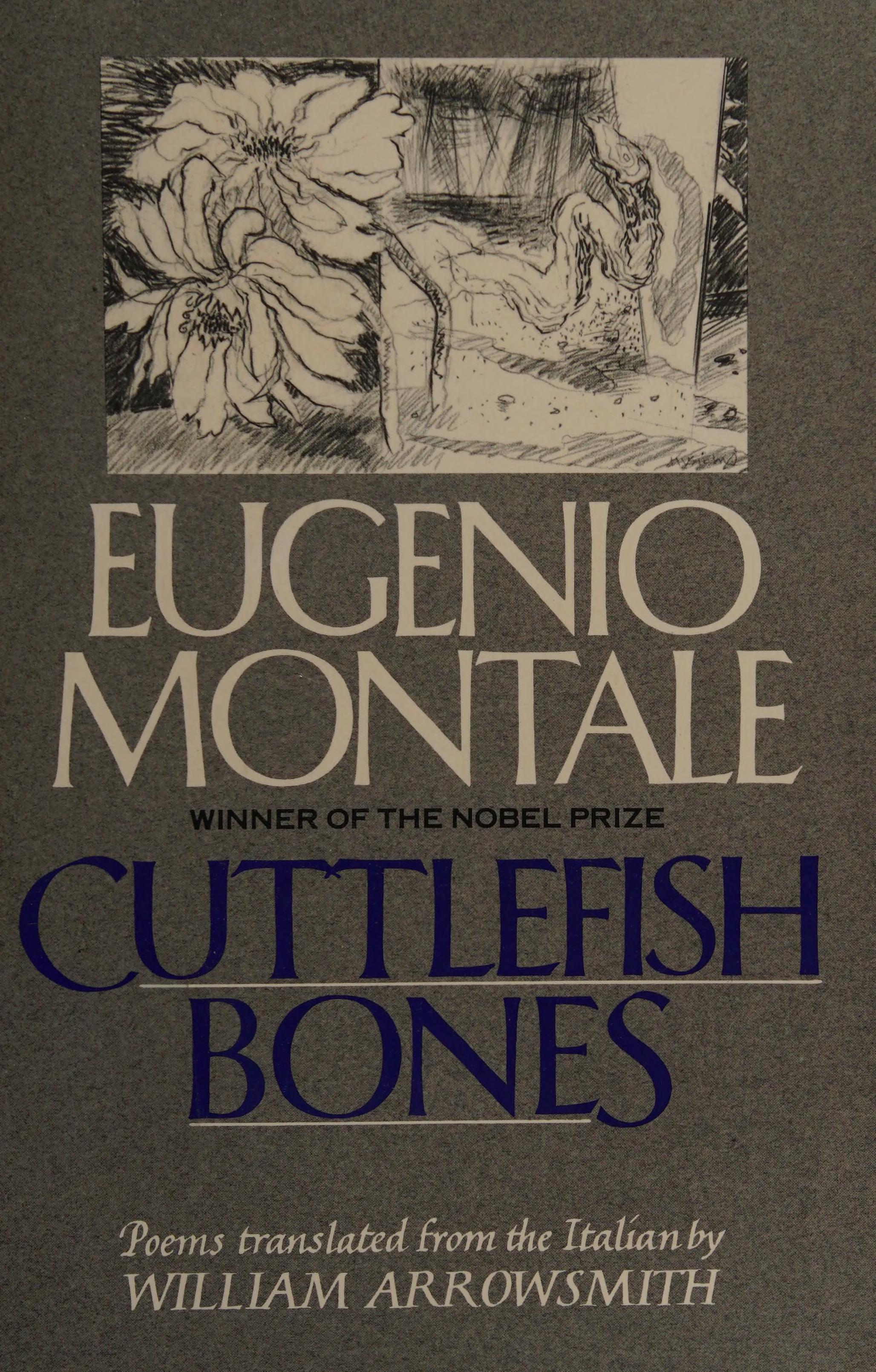 Cuttlefish Bones