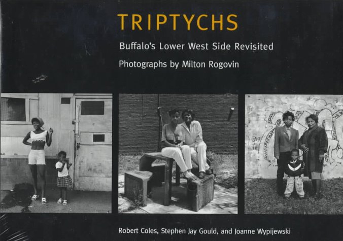 Triptychs: Buffalo'S Lower West Side Revisited
