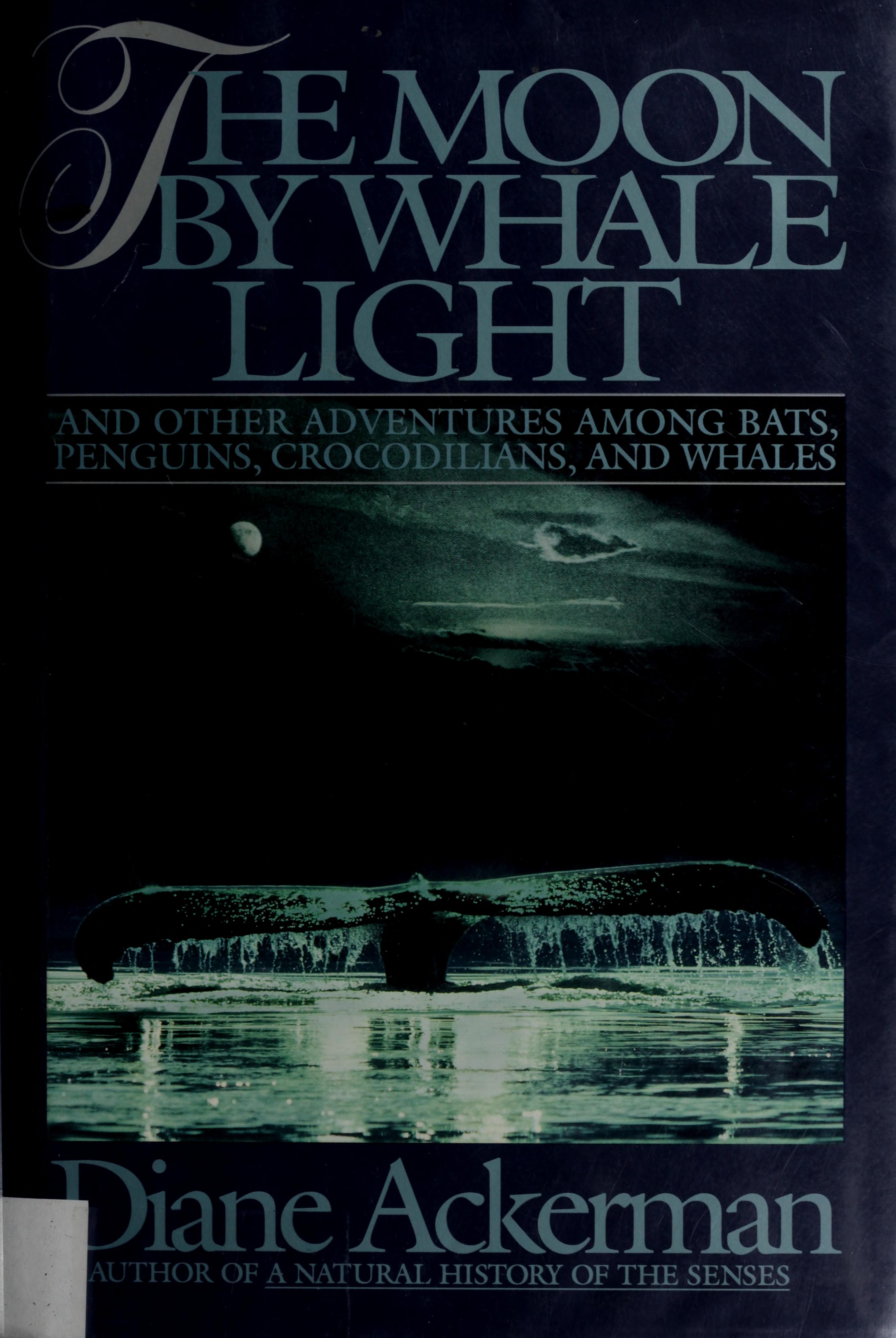 The Moon by Whale Light