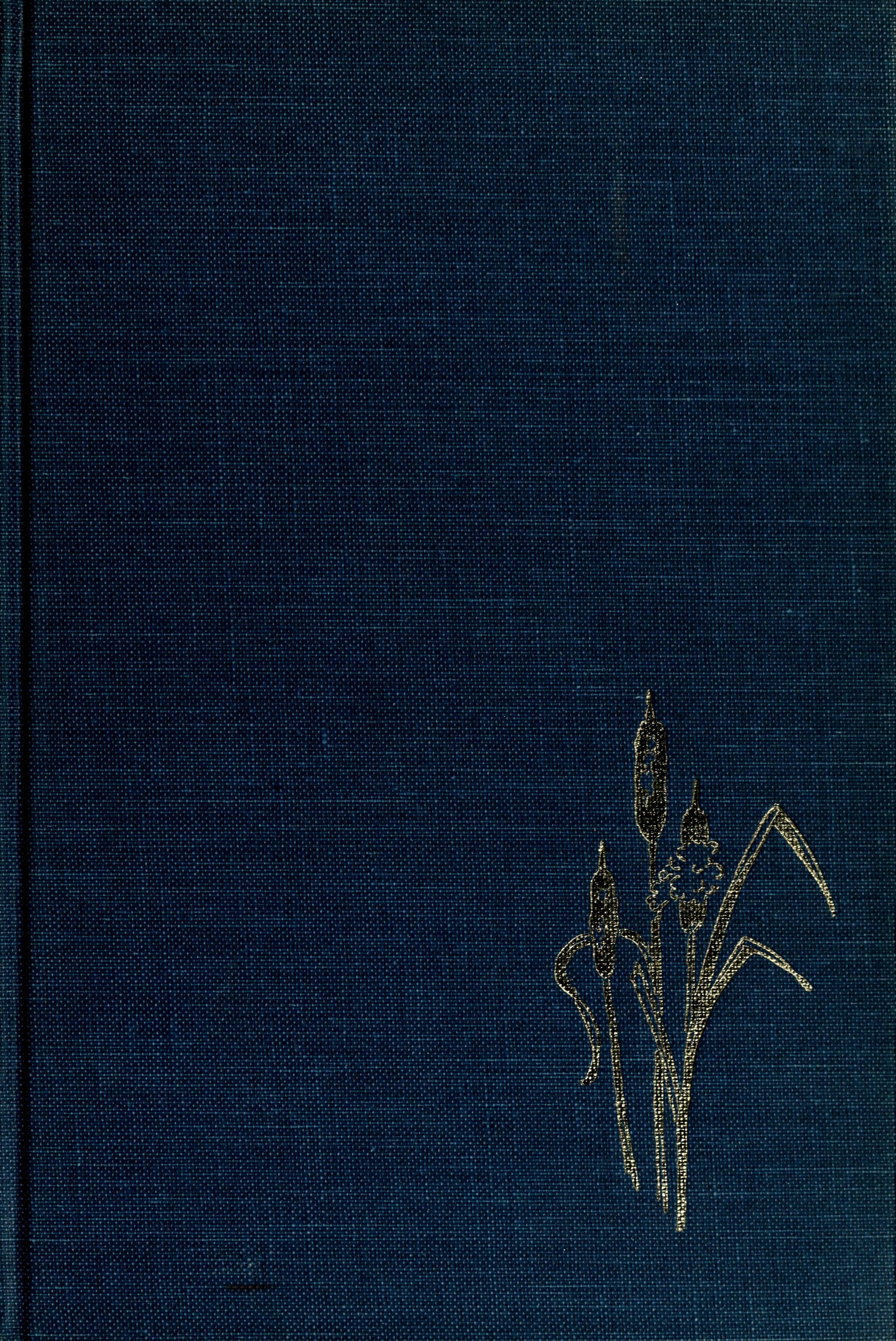 The Pursuit of Wilderness