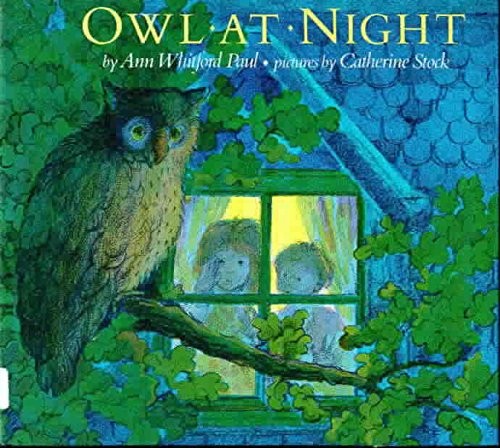 Owl at night