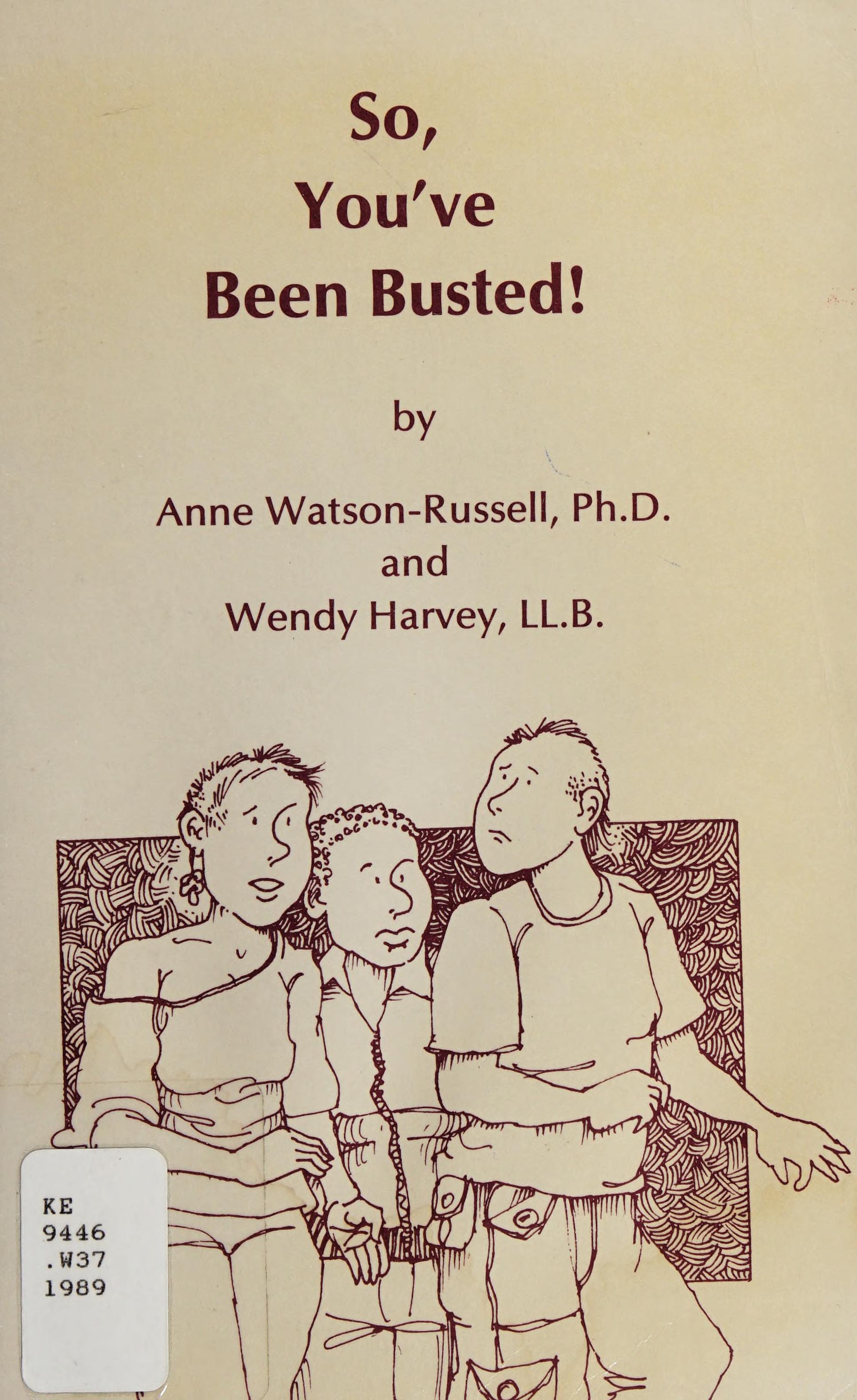 So You've Been Busted