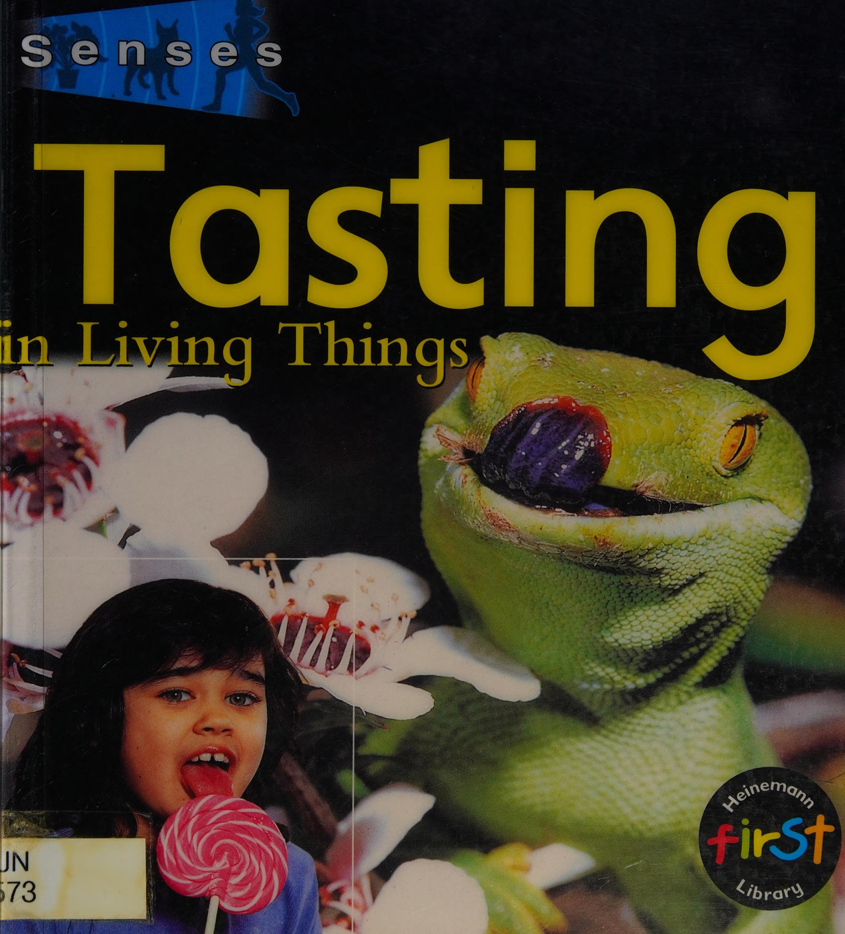 Senses