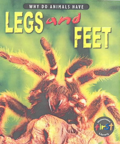 Why Do Animals Have Legs Feet Why Do Animals Have