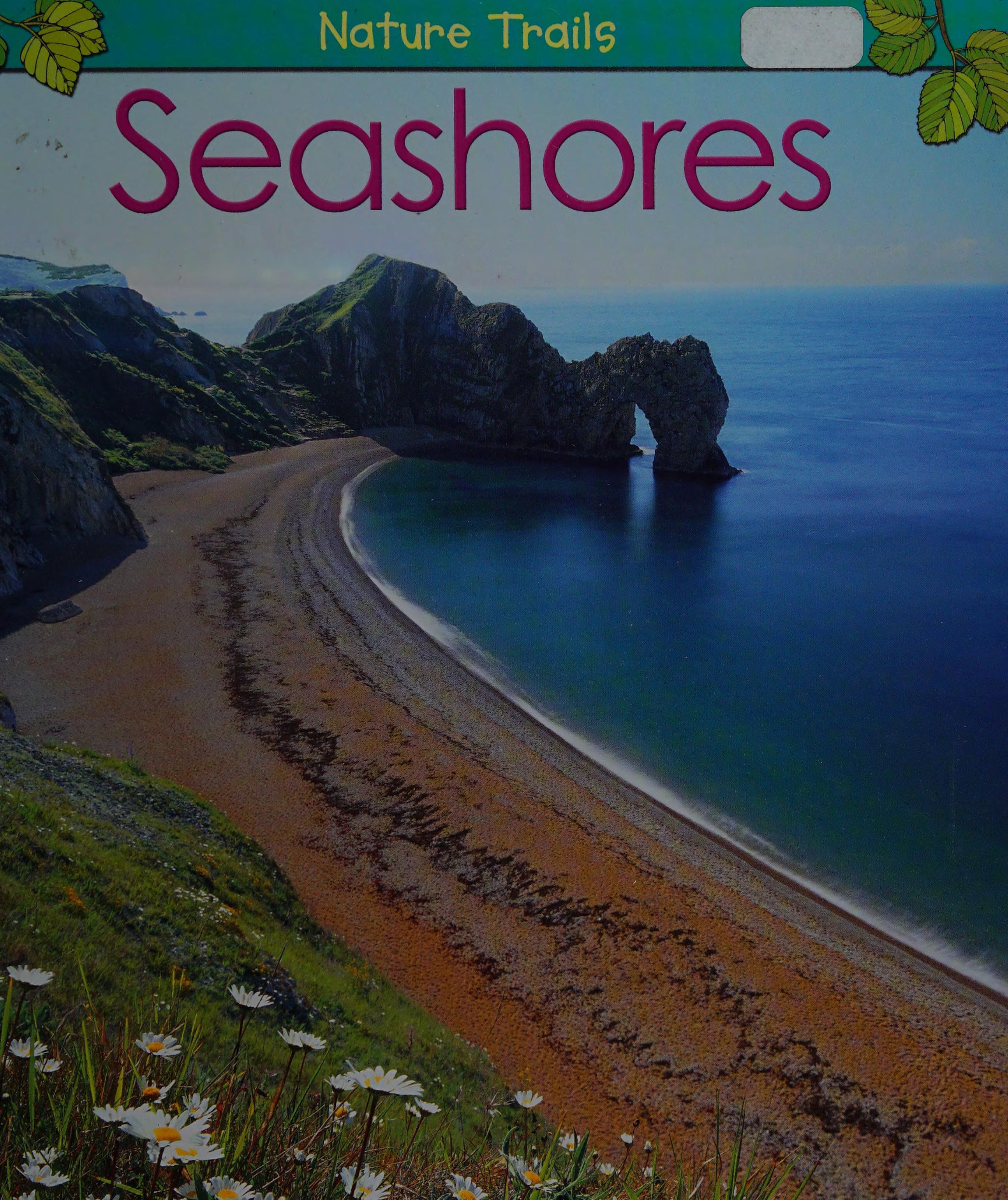 Seashores