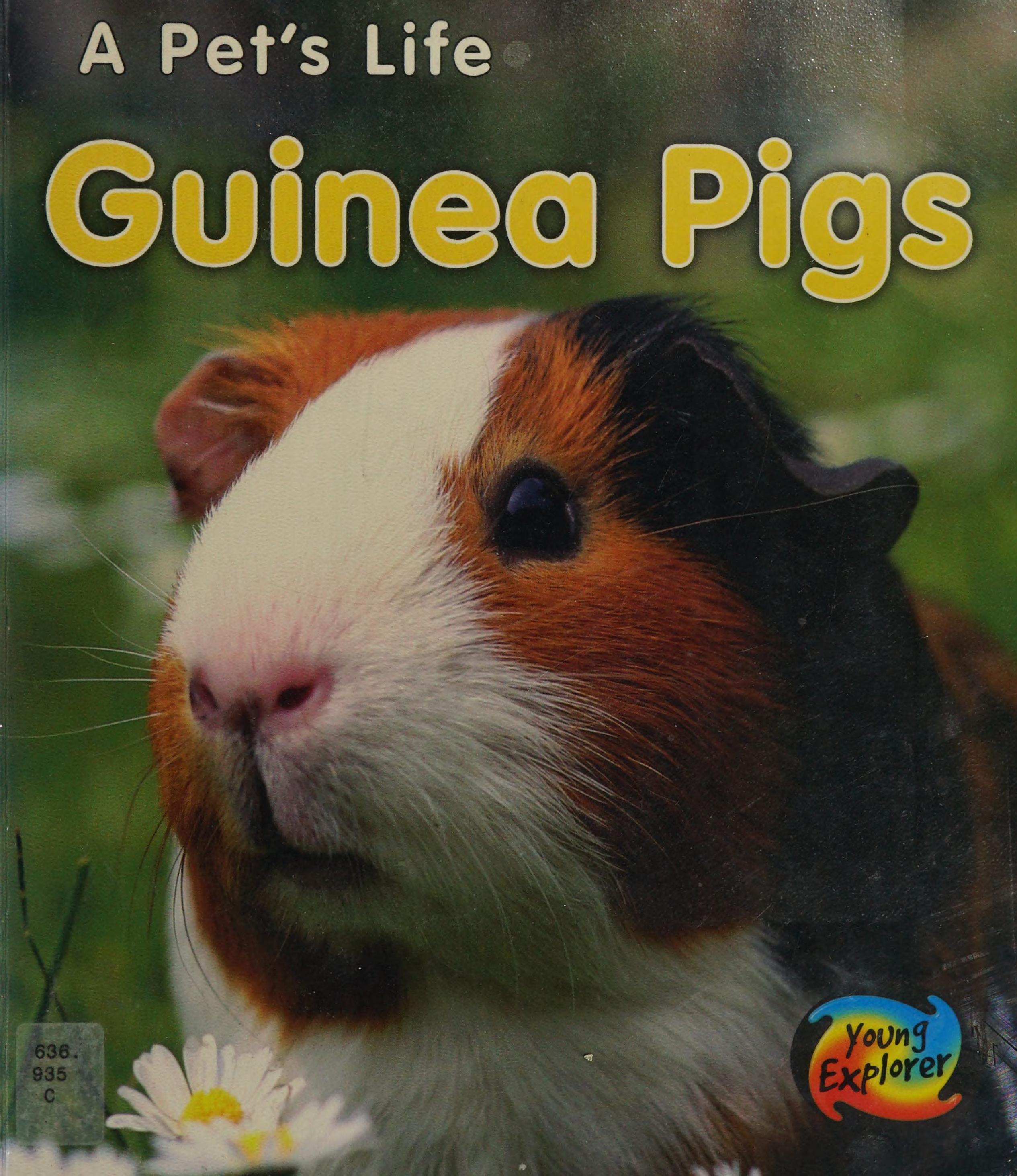 Guinea Pigs