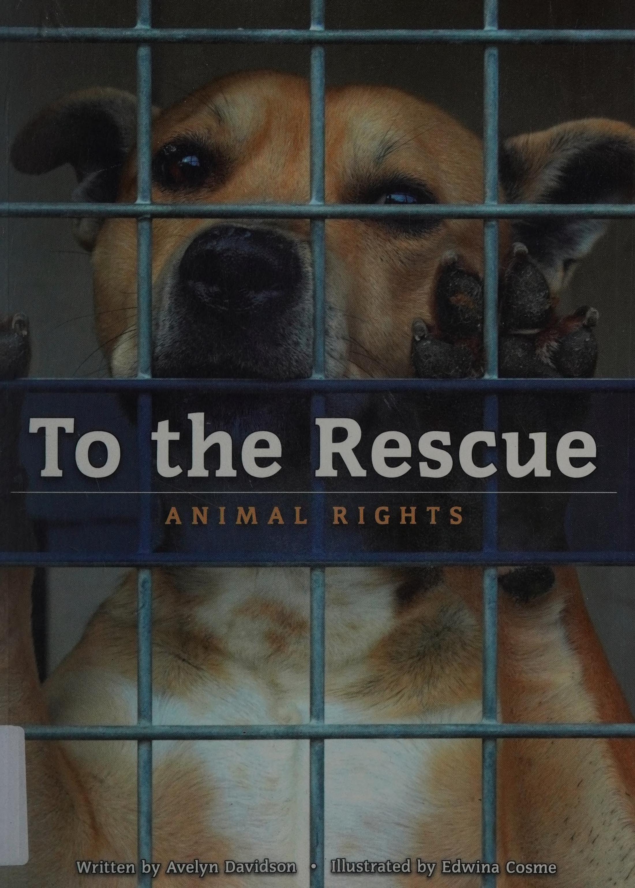 To the Rescue