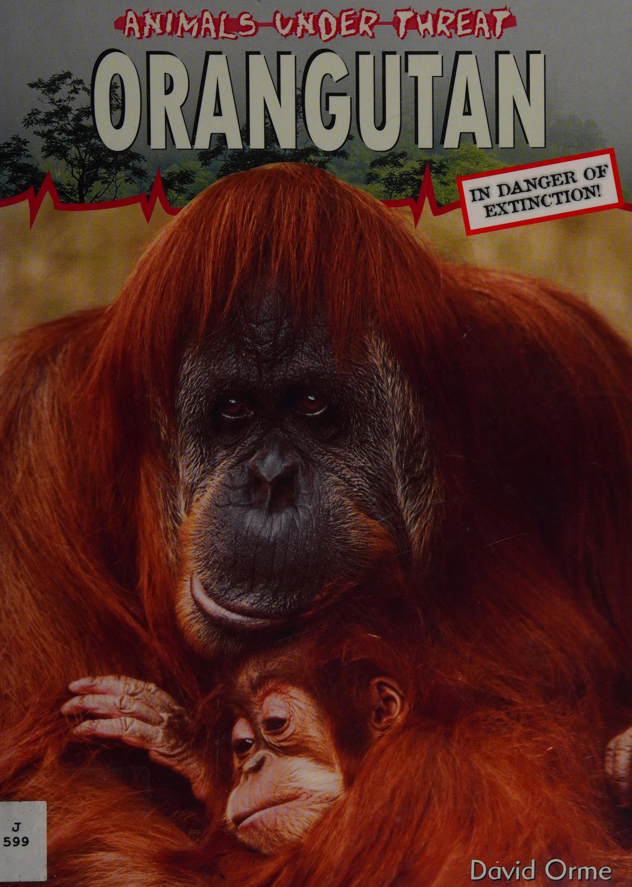 Orangutang