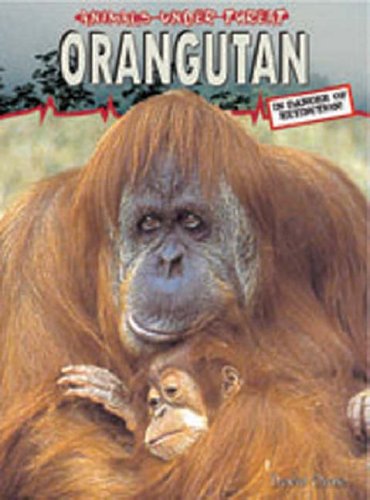 Orangutang (Animals Under Threat) (Animals Under Threat)