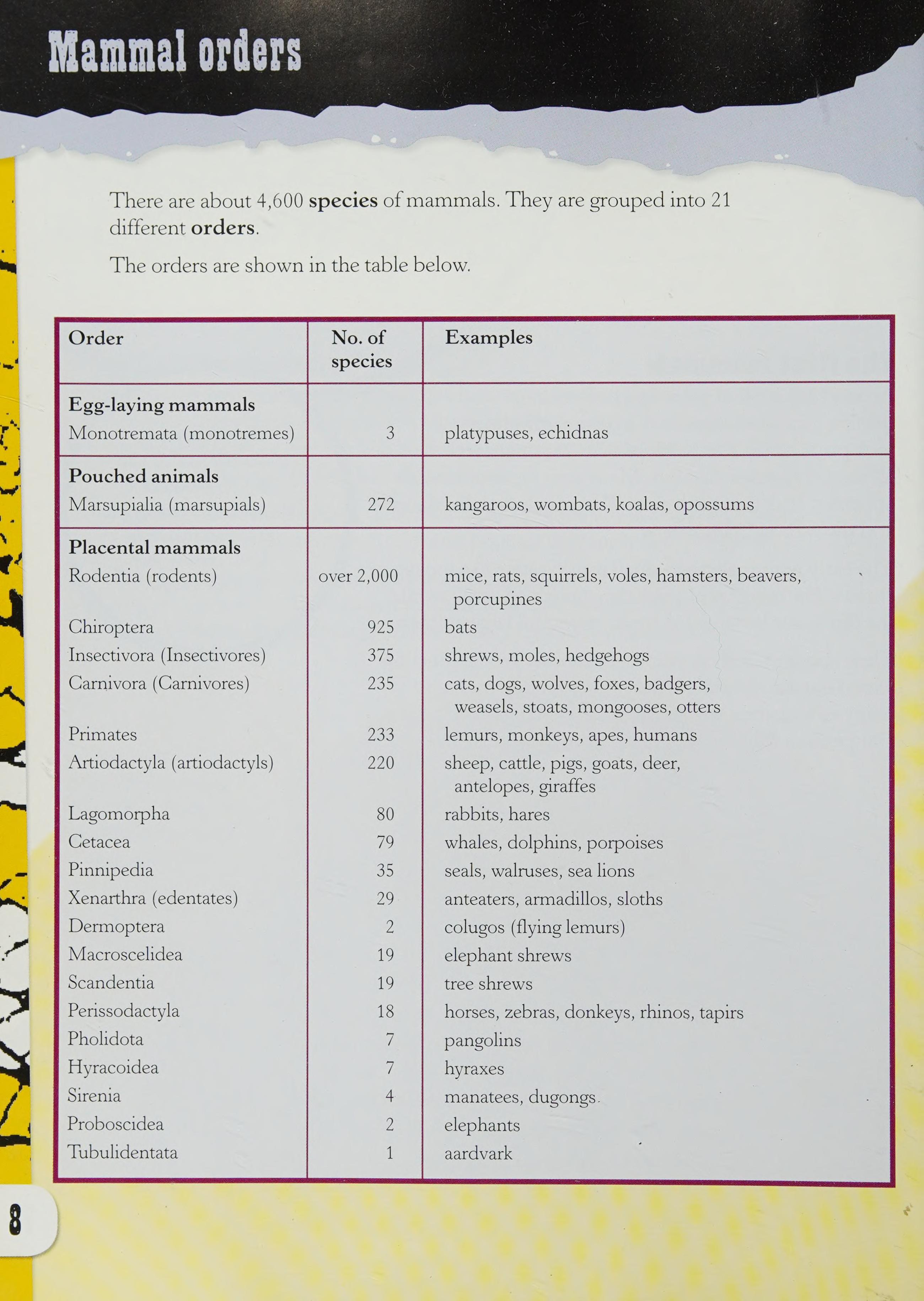 Classifying Mammals