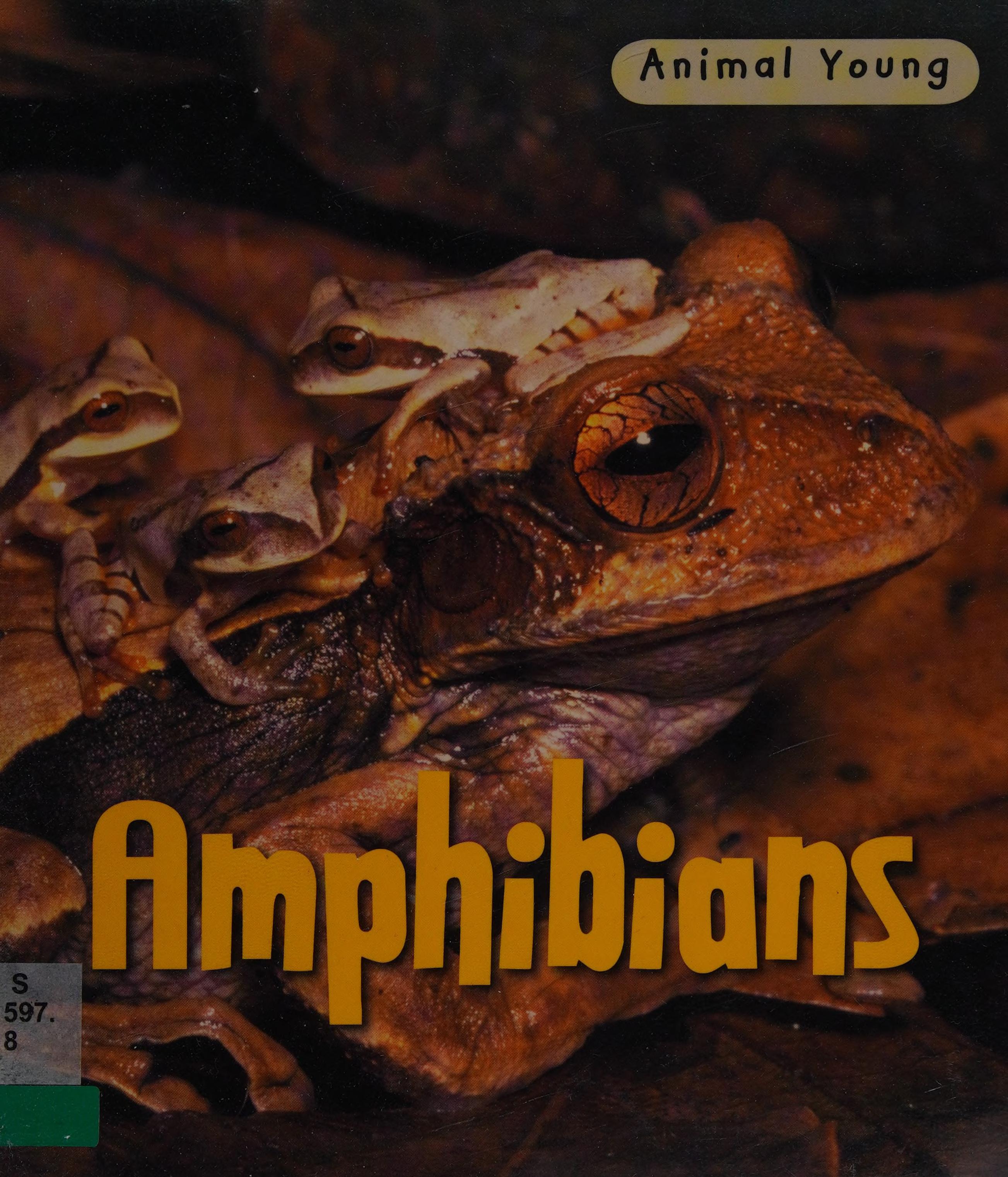 Amphibians